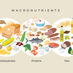 Macronutrient