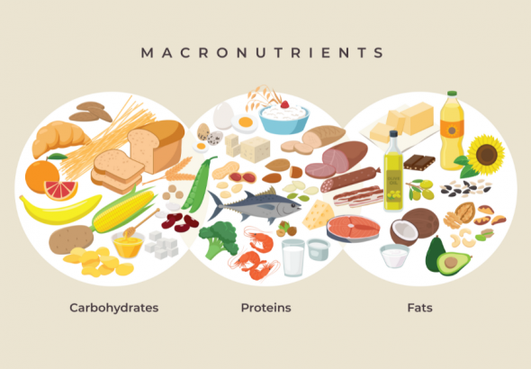 Macronutrient