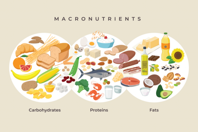 Macronutrient