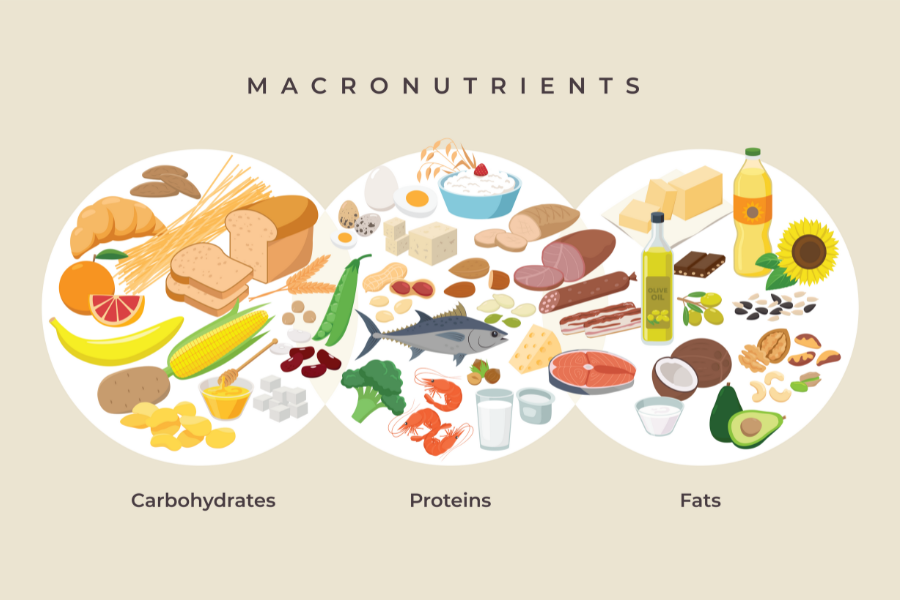 Macronutrient