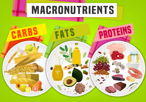 Macronutrient