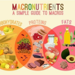 Macronutrient