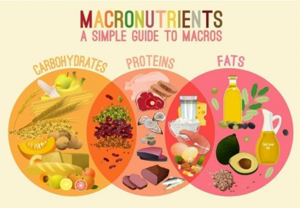 Macronutrient