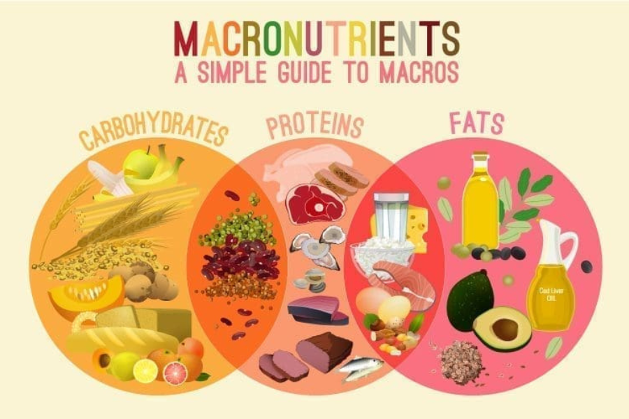 Macronutrient