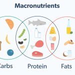 Macronutrient