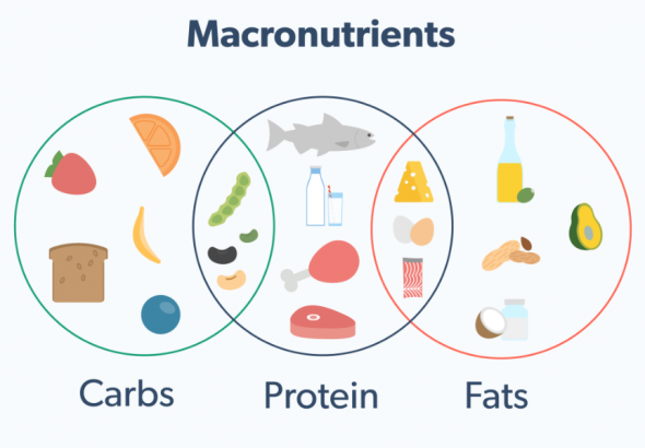 Macronutrient