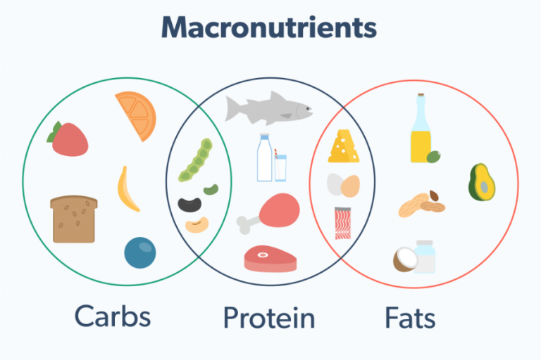 Macronutrient