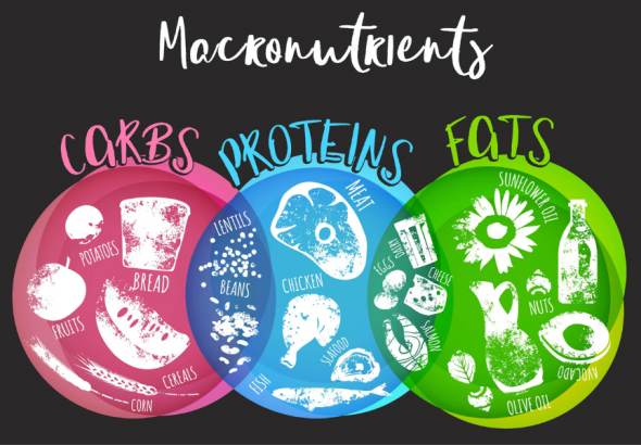 Macronutrient