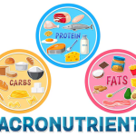 Macronutrient