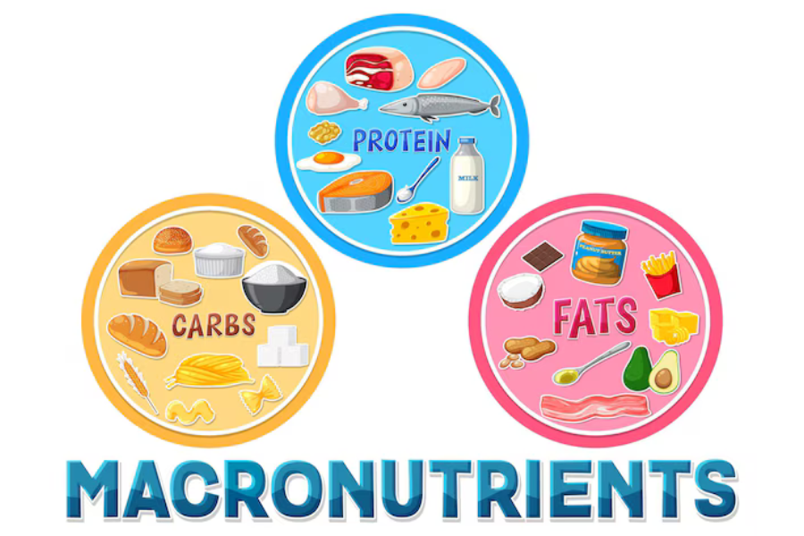 Macronutrient