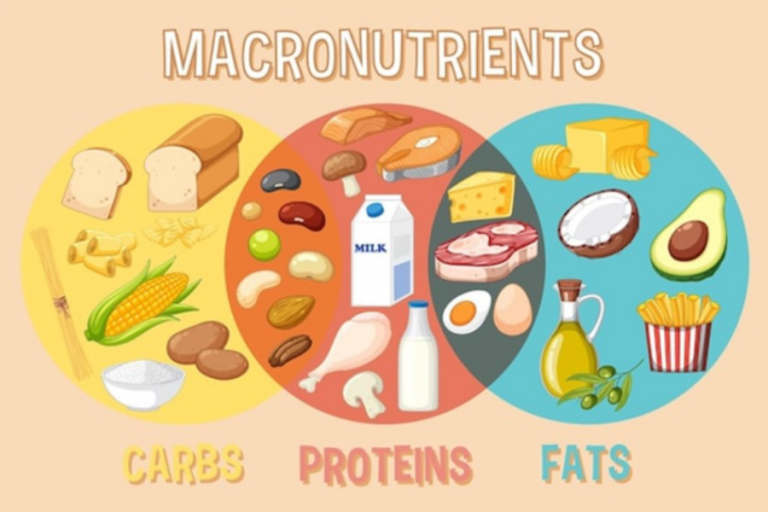 Macronutrient