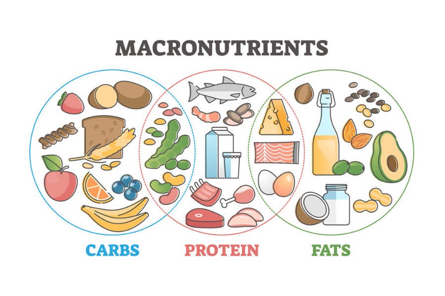 Macronutrient