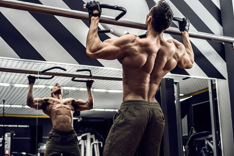 Men's Back Workout