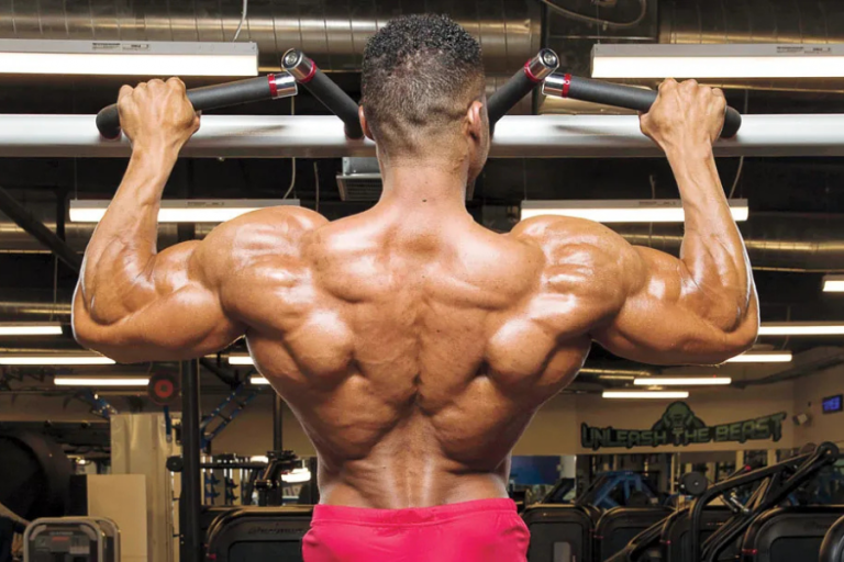 Men's Back Workout