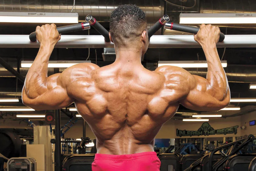 Men's Back Workout