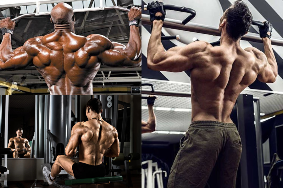 Men's Back Workout
