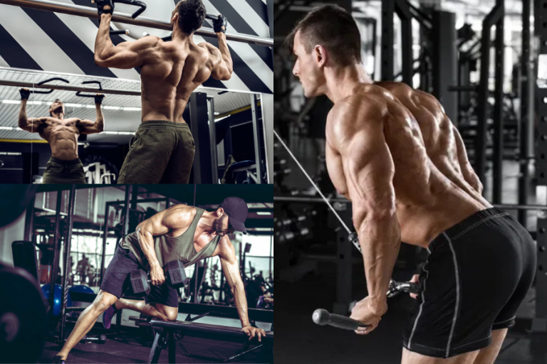 Men's Back Workout