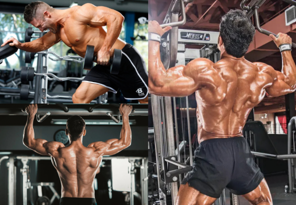 Men's Back Workout