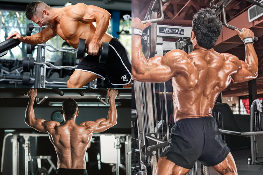 Men's Back Workout