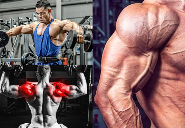 Men's Shoulder Workout