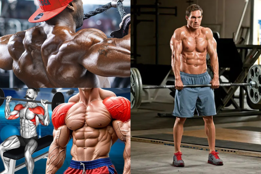 Men's Shoulder Workout