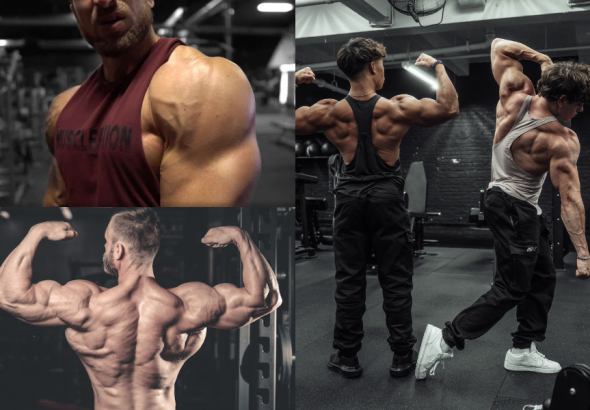Men's Shoulder Workout