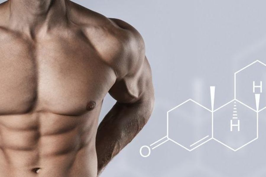 Testosterone Booster